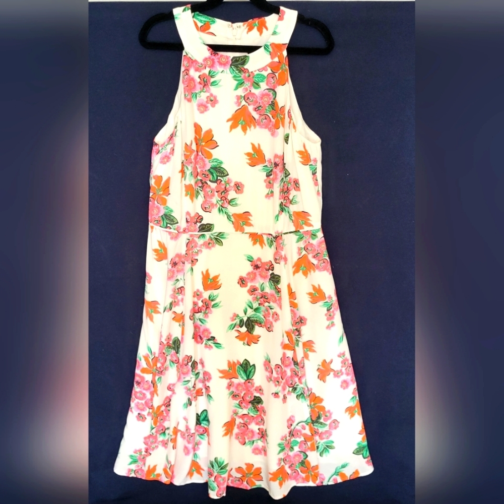 Ann Taylor Petite (4P) Floral Dress